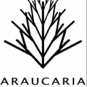 Araucaria discounts