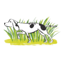 Forthglade discounts
