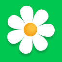 Myflowers discounts