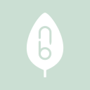 Natural Baby Shower discounts