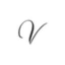 Venchi discounts