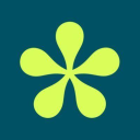 Wype discounts